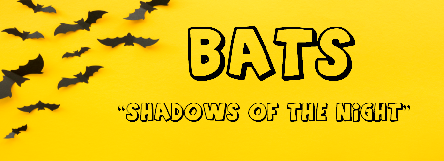 "Bats - Shadows of the Night" yellow background with black paper bats
