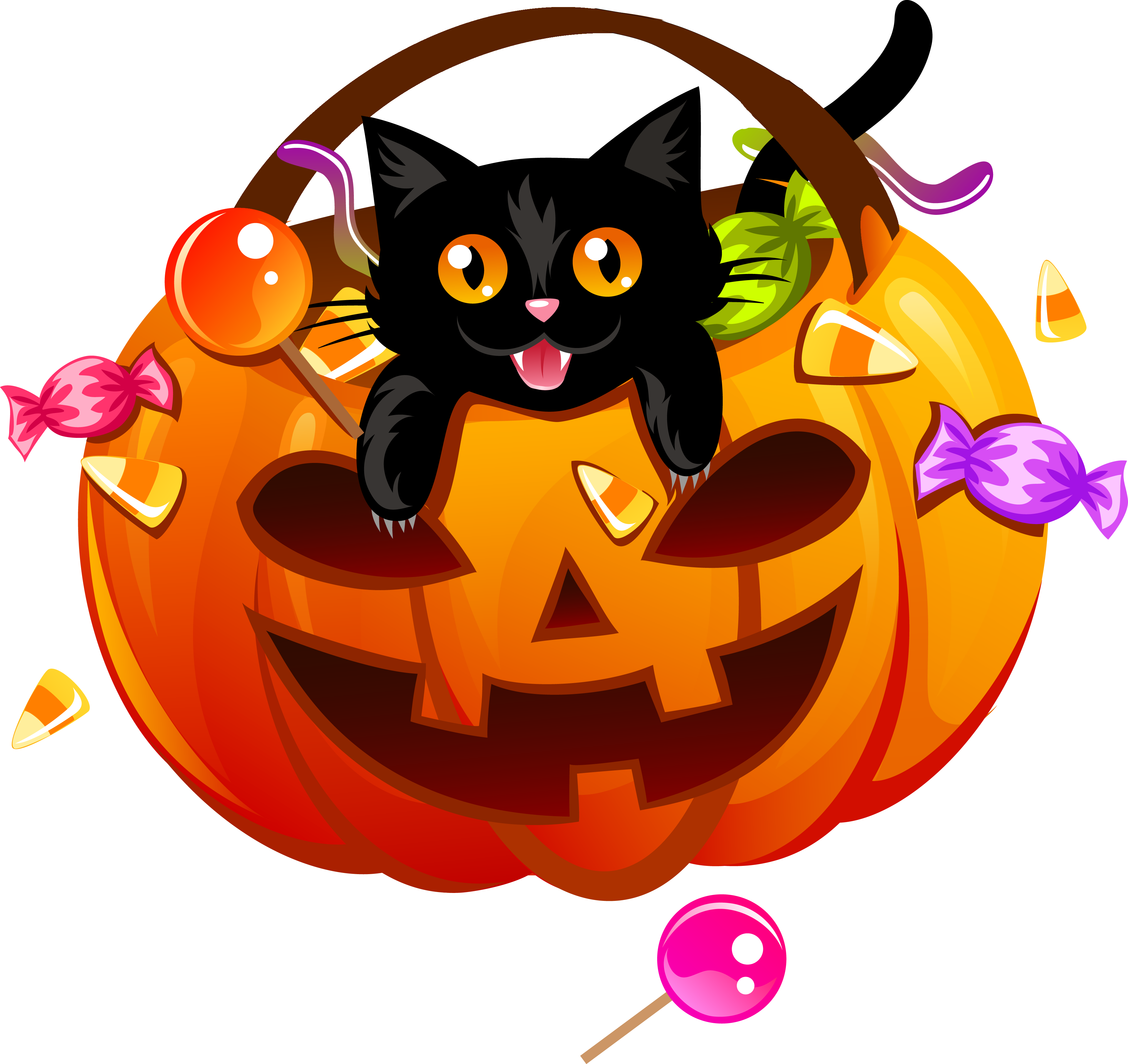 black cat in a pumpkin trick or treat bucket