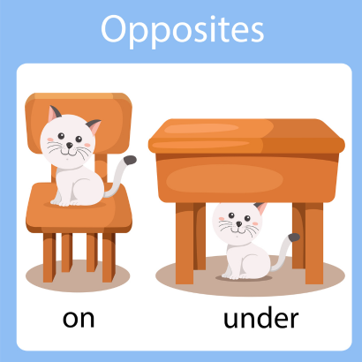 "Opposites" cat "on" a chair and a cat "under" a table