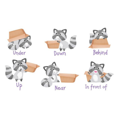 a raccoon demonstrating 6 directional words with a box