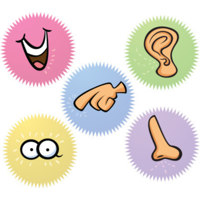 clipart of the five senses