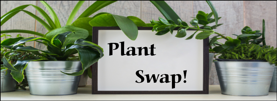 "Plant Swap!" with potted plants