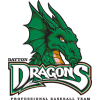 Dayton Dragons Professional Baseball Team logo