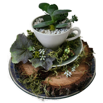 teacup garden on a piece of wod