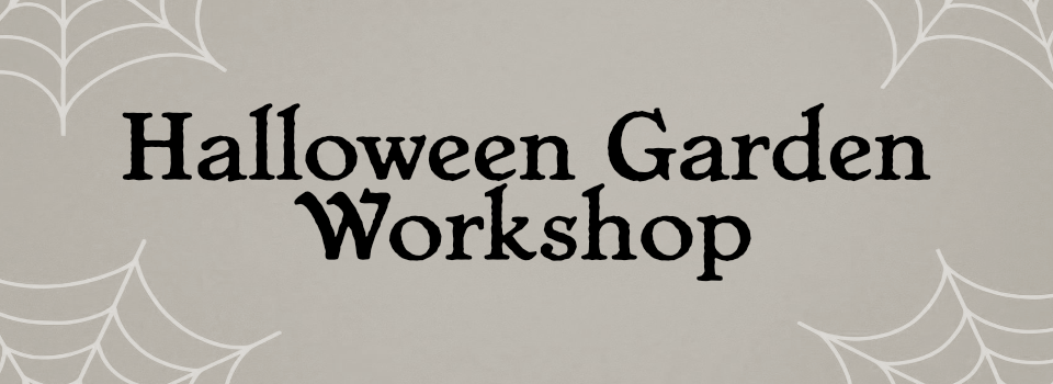 "Halloween garden workshop" greyish background with spiderwebs