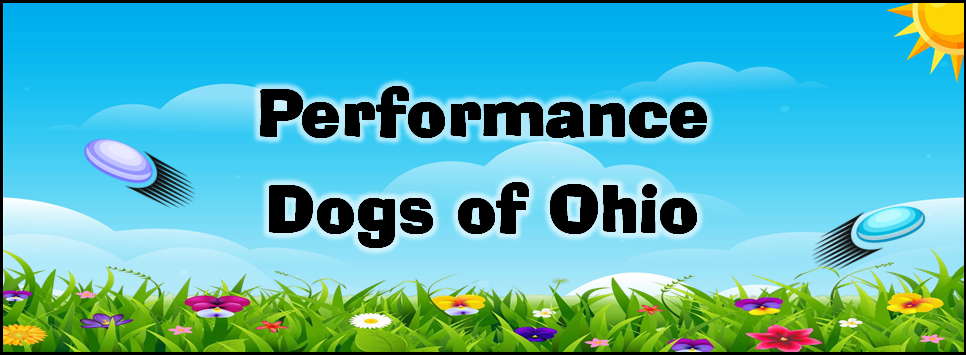 "Performance Dogs of Ohio" blue sky, flowers and grass, sun and two flying frisbees