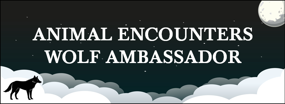 "Animal Encounters Wolf Ambassador" black sky, white clouds, moon and wolf outline