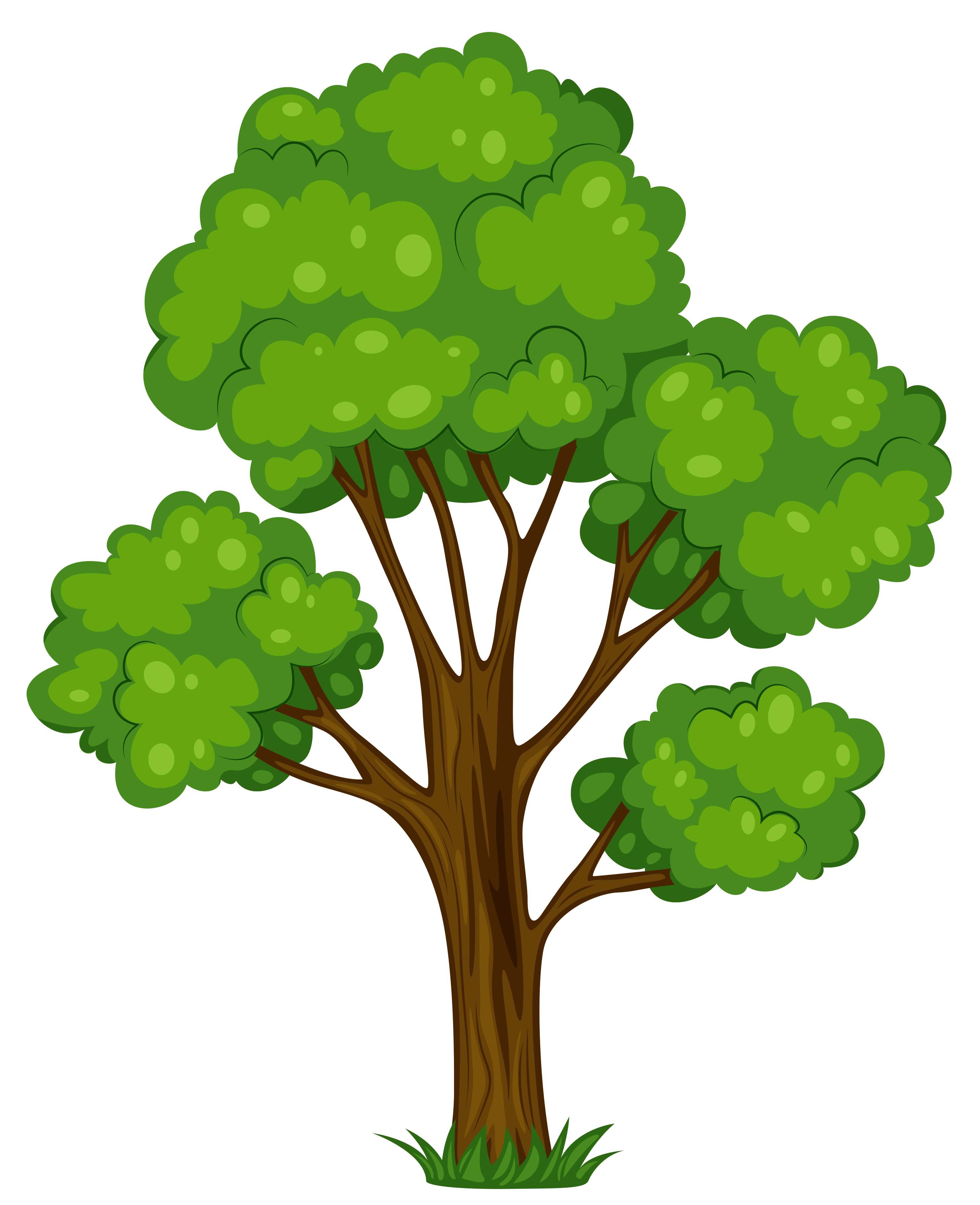 clipart of a green leaved tree
