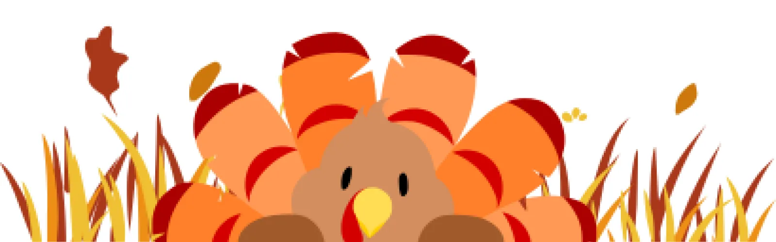 cute turkey with fall colored grass and leaves