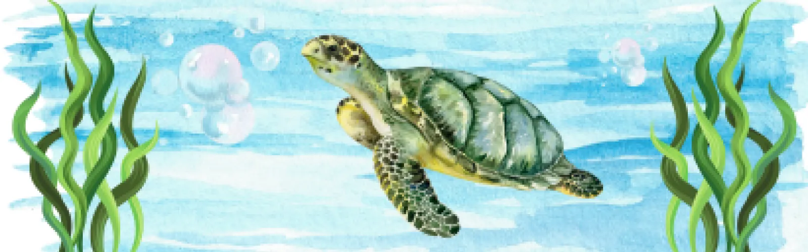 watercolor water, ferns, bubbles and turtle