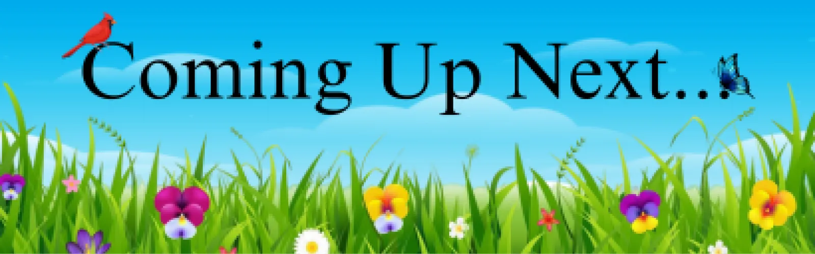 "Coming Up Next..." blue sky, grass and flowers, red cardinal and a blue butterfly